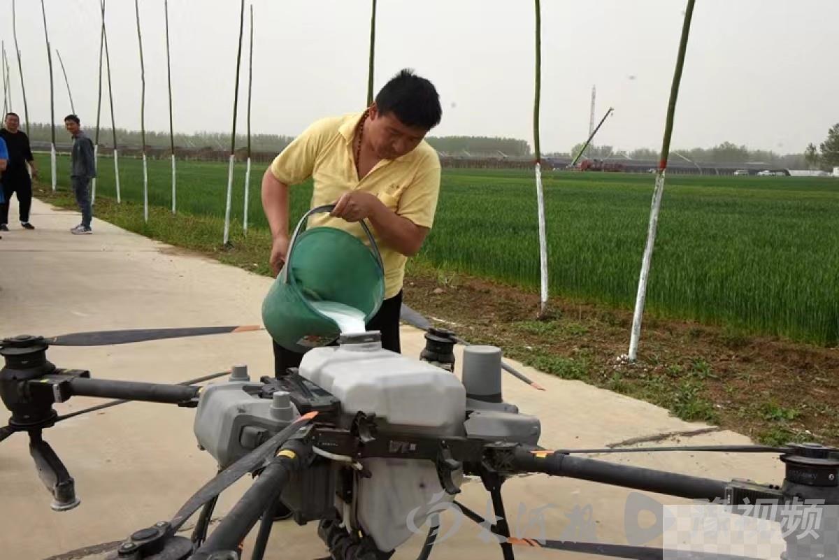 汝南县：强化服务监督 高质量做好小麦重大病虫害防治